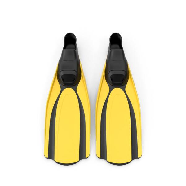 Diving Fins